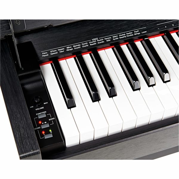 Thomann DP-33