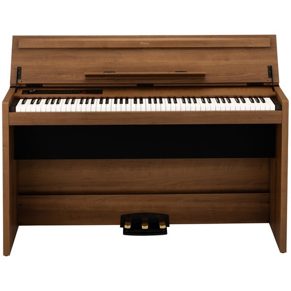 Korg Poetry Magnifique