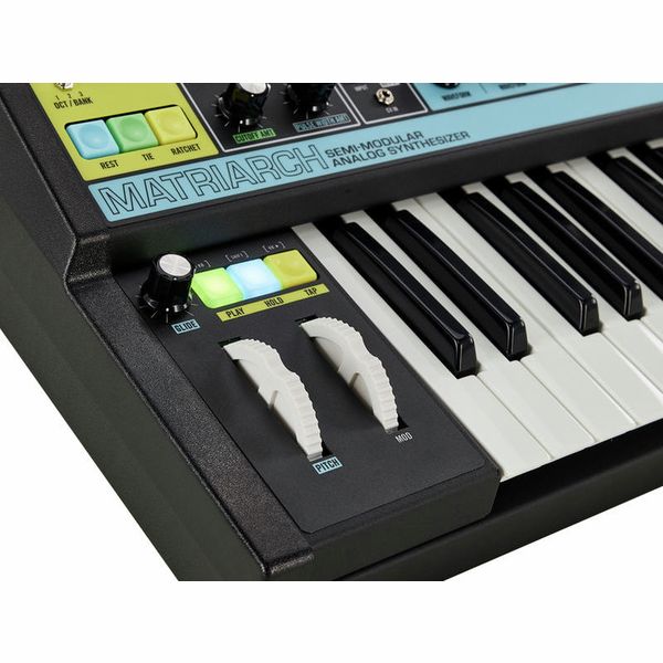 Moog Matriarch