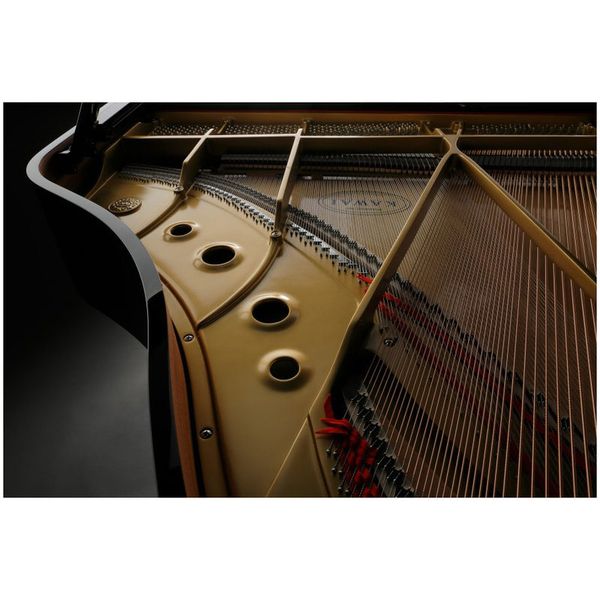 Kawai GL 10