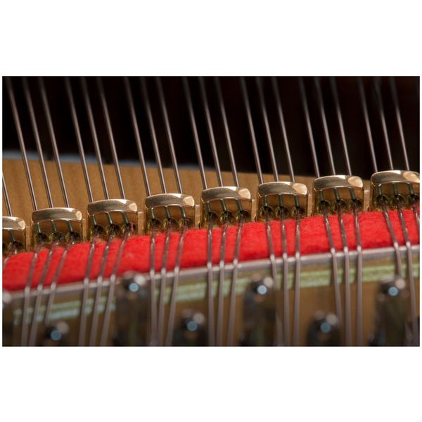 Kawai GL 10