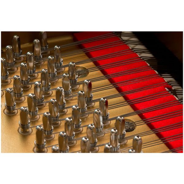 Kawai GL 10