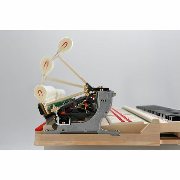 Kawai GL-50 Kawai GL-50