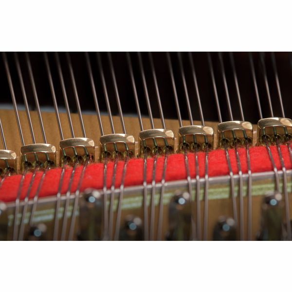 Kawai GL-50 Kawai GL-50
