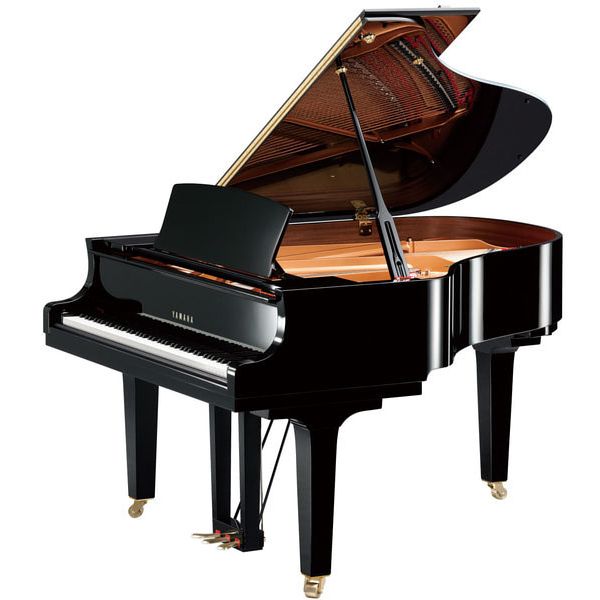 Yamaha C 2 X