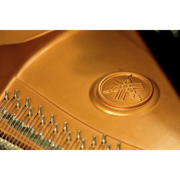 Yamaha C 2 X