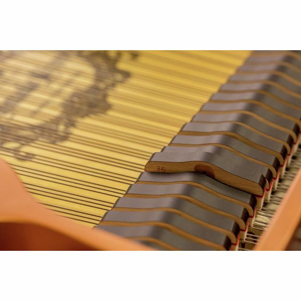 Yamaha C 2 X